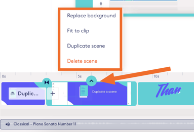 Scene Options